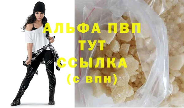 индика Арсеньев