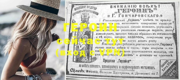 индика Арсеньев
