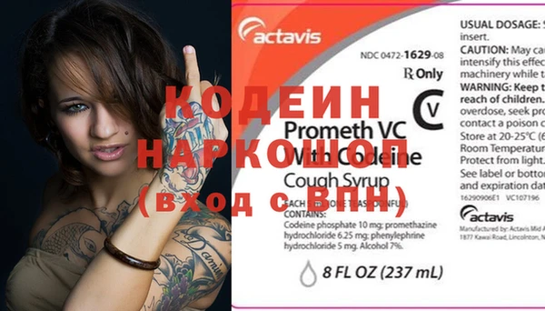 индика Арсеньев