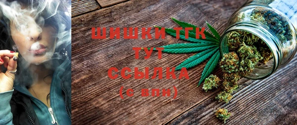 индика Арсеньев