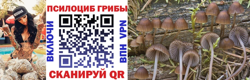 купить наркотик  Мытищи  Галлюциногенные грибы прущие грибы 