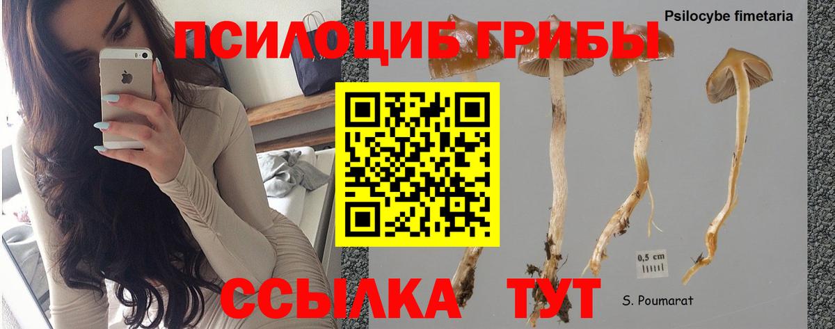 Мытищи  Alpha PVP СК   МДМА  Меф МЯУ МЯУ   Кокаин  Экстази  Вейп ТГК  ГАШИШ  ГАШИШ  Вход с VPN  Каннабис 